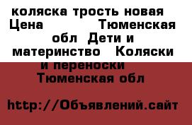 коляска трость новая › Цена ­ 2 000 - Тюменская обл. Дети и материнство » Коляски и переноски   . Тюменская обл.